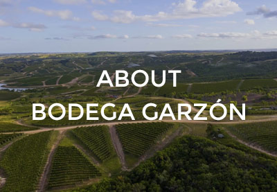 About Bodega Garzon