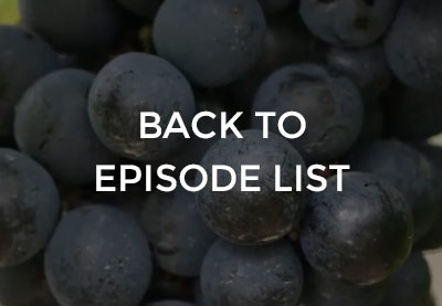 Back to It Starts with Wine Episode List