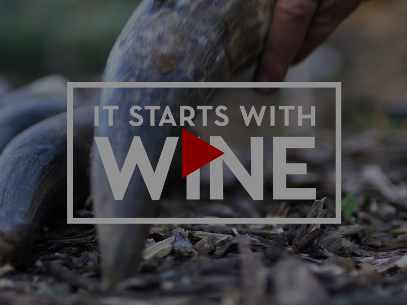 It Starts With Wine Episode 3: California