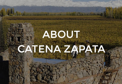 About Catena Zapata