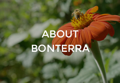 About Bonterra