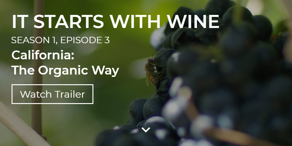 It Starts With Wine, Season 1, Episode 3 - California: The Organic Way. Watch Trailer